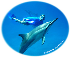 Dolphin and Matisha gazing