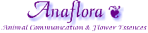 To Sharon's Homepage