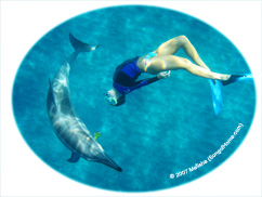 Dolphin & Chrissy in a Spiral Dance...