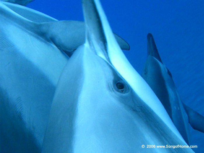 Next photo is a high resolution image...may take a few breaths longer to load...